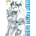 Street Fighter Gaiden, Volume 1 - Paperback