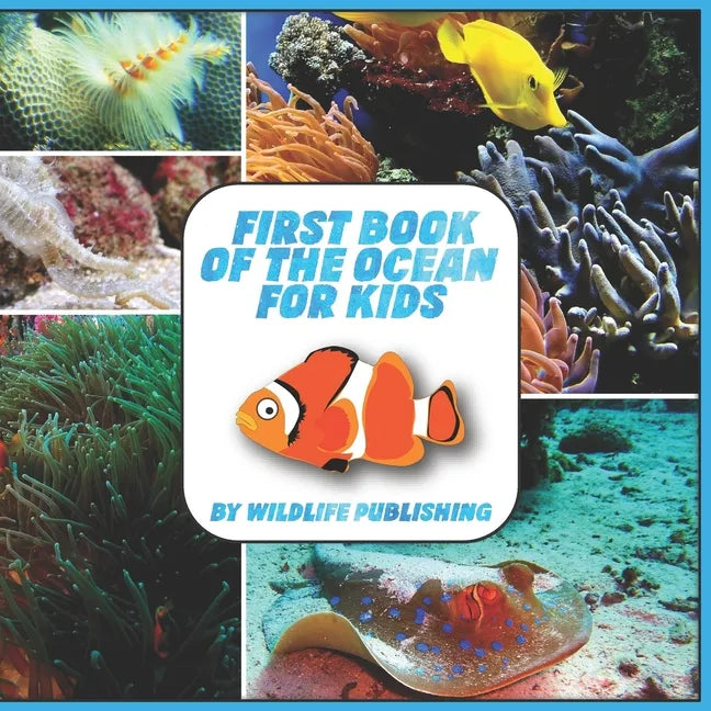 First Book Of The Ocean For Kids: Ocean Animals Activity Book - Paperback