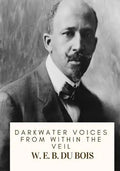 Darkwater Voices from Within the Veil - Paperback