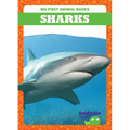Sharks - Library Binding
