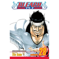 Bleach, Vol. 28 - Paperback