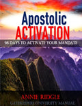 Apostolic Activation 98 Days to Activate Your Mandate - Paperback