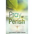 Pray or Perish - Paperback