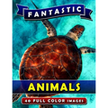Fantastic Animals: Picture Book Gift for Adults, Seniors and People with Alzheimer's & Dementia. Dementia Activities for Seniors Book. - Paperback