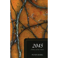 2045: A Story of Our Future - Paperback
