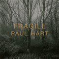 Fragile - Hardcover