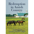 Redemption in Amish Country - Library Binding