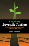 Transforming Juvenile Justice: Reform Ideals and Institutional Realities, 1825-1920 - Paperback