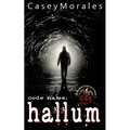 Hallum: An m/m romance spy thriller - Paperback