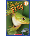 From Tadpole to Frog (Scholastic Reader, Level 1) - Paperback