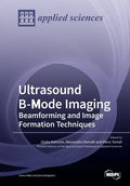 Ultrasound B-Mode Imaging: Beamforming and Image Formation Techniques - Paperback