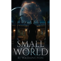 Small World - Hardcover