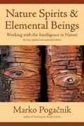 Nature Spirits & Elemental Beings: Working with the Intelligence in Nature - Paperback