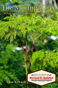 The Moringa Tree: What you don't know can HEAL you! - Paperback