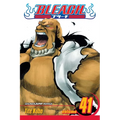 Bleach, Vol. 41 - Paperback