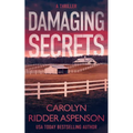 Damaging Secrets - Paperback