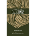 A Commentary on Galatians: Christ Plus Equals Nothing - Paperback
