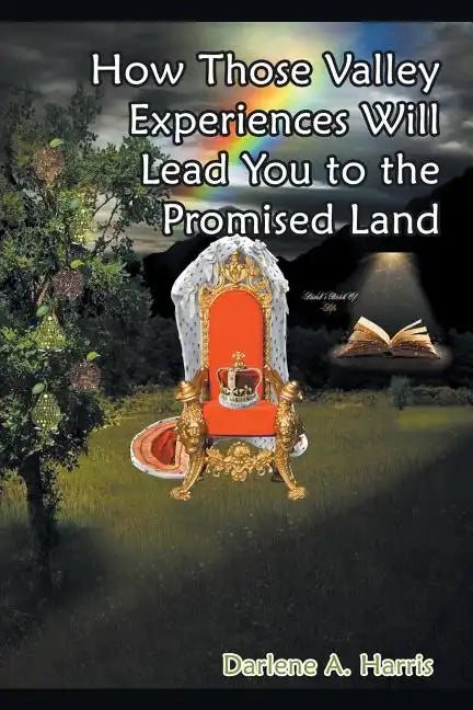 How Those Valley Experiences Will Lead You to the Promised Land - Paperback