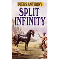 Split Infinity - Paperback