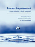 Process Improvement: Understanding a Basic Approach - Companion Guidebook to How to Be an Effective Analyst - Paperback