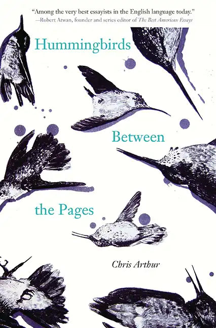 Hummingbirds Between the Pages - Paperback