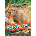 Capybaras - Library Binding
