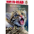 Welcome to the World, Zooborns!: Ready-To-Read Level 1 - Paperback