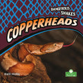 Copperheads - Paperback