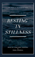 Resting in Stillness - Paperback