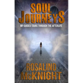 Soul Journeys: My Guided Tours Through the Afterlife - Paperback
