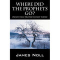 Where Did The Prophets Go?: Proof That Prophets Exist Today - Paperback