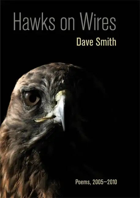 Hawks on Wires: Poems, 2005-2010 - Paperback