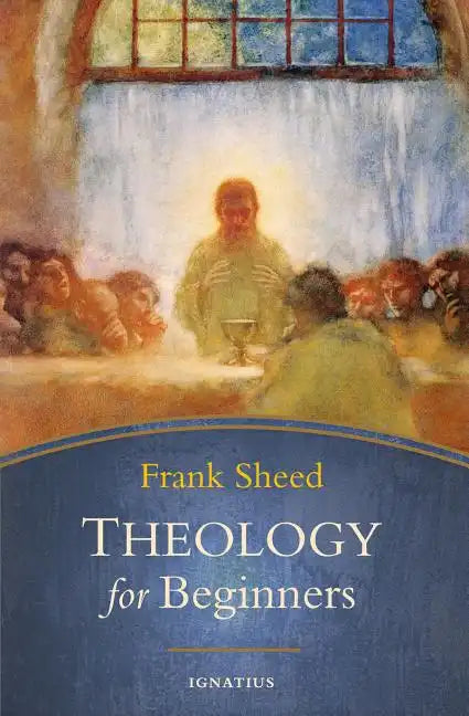 Theology for Beginners - Paperback