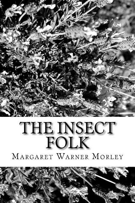 The Insect Folk - Paperback