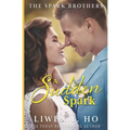 A Sudden Spark: A Christian Contemporary Romance - Paperback