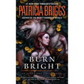 Burn Bright - Paperback