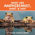 What Are Amphibians?, What & Why: 1st Grade Science Series - Paperback