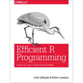 Efficient R Programming: A Practical Guide to Smarter Programming - Paperback