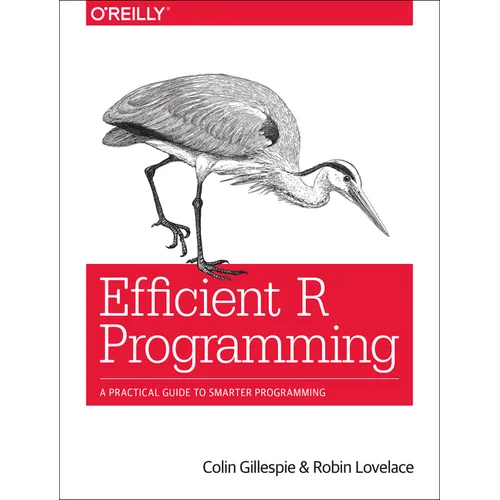 Efficient R Programming: A Practical Guide to Smarter Programming - Paperback