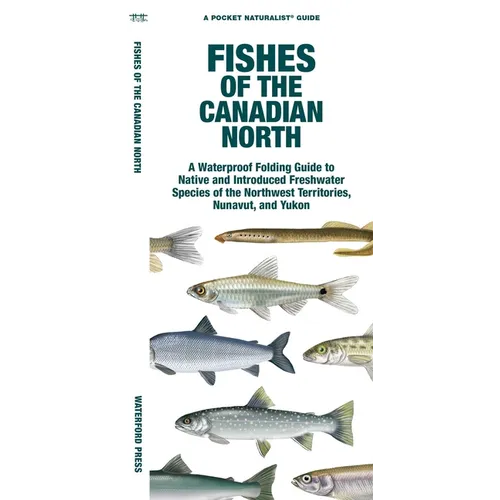 Fishes of the Canadian North: A Folding Guide to Native and Introduced Freshwater Species of the Northwest Territories, Nunavut and Yukon - Paperback