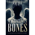 Magdalena's Bones: In the beginning, there was no light - Paperback