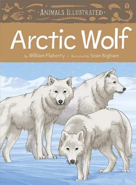 Animals Illustrated: Arctic Wolf - Hardcover