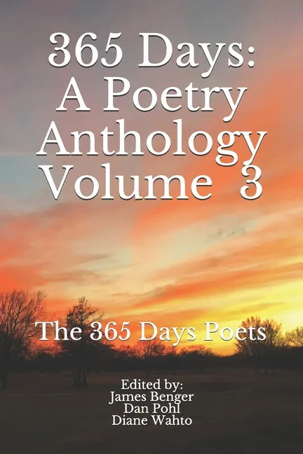365 Days: Volume 3 - Paperback