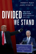 Divided We Stand: The 2020 Elections and American Politics - Paperback