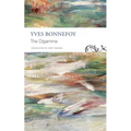 The Digamma - Paperback