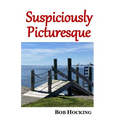 Suspiciously Picturesque - Paperback