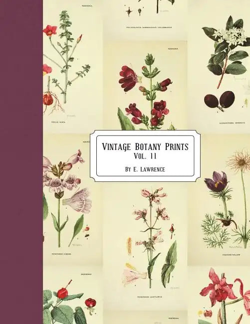 Vintage Botany Prints: Vol. 11 - Paperback