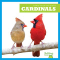 Cardinals - Paperback