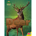Deer - Library Binding