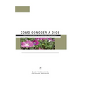Como Conocer a Dios: Los Aforismos de Yoga de Patánjali - Paperback